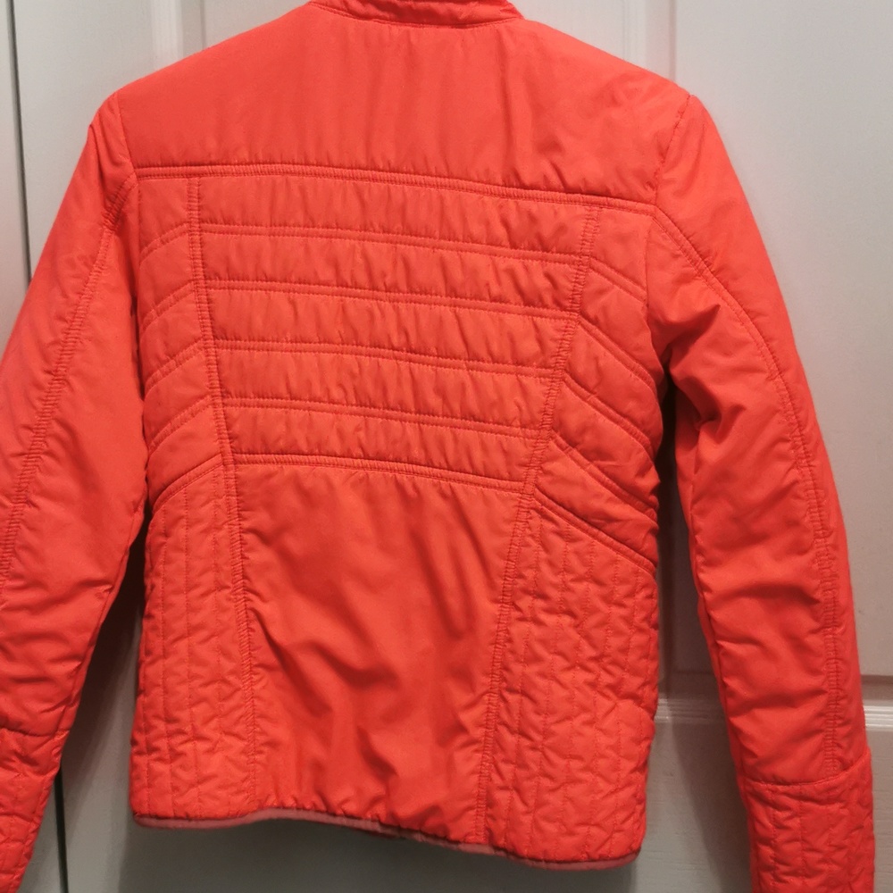 Fox jacket - Picture 5 of 5